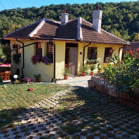 Guest House „Ivanovata House” Yanovets Bagian luar foto